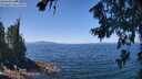 ./images/koeye/fitz-hugh/20260716/fitz-hugh20260716_122501M.jpg