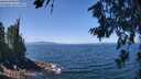 ./images/koeye/fitz-hugh/20260716/fitz-hugh20260716_123001M.jpg