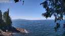./images/koeye/fitz-hugh/20260716/fitz-hugh20260716_123501M.jpg