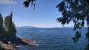 ./images/koeye/fitz-hugh/20260716/fitz-hugh20260716_124001M.jpg