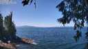 ./images/koeye/fitz-hugh/20260716/fitz-hugh20260716_124501M.jpg