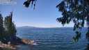 ./images/koeye/fitz-hugh/20260716/fitz-hugh20260716_125001M.jpg