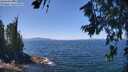 ./images/koeye/fitz-hugh/20260716/fitz-hugh20260716_125502M.jpg