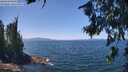 ./images/koeye/fitz-hugh/20260716/fitz-hugh20260716_130501M.jpg