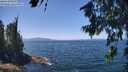 ./images/koeye/fitz-hugh/20260716/fitz-hugh20260716_131001M.jpg