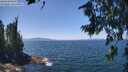 ./images/koeye/fitz-hugh/20260716/fitz-hugh20260716_131501M.jpg
