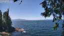 ./images/koeye/fitz-hugh/20260716/fitz-hugh20260716_132501M.jpg