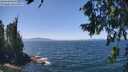 ./images/koeye/fitz-hugh/20260716/fitz-hugh20260716_133001M.jpg