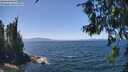 ./images/koeye/fitz-hugh/20260716/fitz-hugh20260716_133501M.jpg