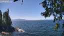 ./images/koeye/fitz-hugh/20260716/fitz-hugh20260716_134002M.jpg