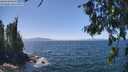 ./images/koeye/fitz-hugh/20260716/fitz-hugh20260716_134501M.jpg