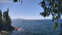 ./images/koeye/fitz-hugh/20260716/fitz-hugh20260716_135002M.jpg