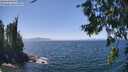 ./images/koeye/fitz-hugh/20260716/fitz-hugh20260716_135501M.jpg