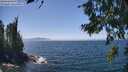 ./images/koeye/fitz-hugh/20260716/fitz-hugh20260716_140002M.jpg