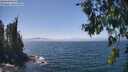 ./images/koeye/fitz-hugh/20260716/fitz-hugh20260716_140501M.jpg