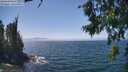 ./images/koeye/fitz-hugh/20260716/fitz-hugh20260716_141001M.jpg