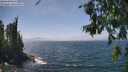 ./images/koeye/fitz-hugh/20260716/fitz-hugh20260716_142001M.jpg
