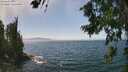 ./images/koeye/fitz-hugh/20260716/fitz-hugh20260716_143002M.jpg