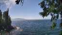 ./images/koeye/fitz-hugh/20260716/fitz-hugh20260716_143501M.jpg