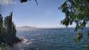 ./images/koeye/fitz-hugh/20260716/fitz-hugh20260716_144001M.jpg