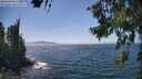 ./images/koeye/fitz-hugh/20260716/fitz-hugh20260716_144501M.jpg
