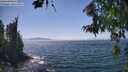 ./images/koeye/fitz-hugh/20260716/fitz-hugh20260716_145001M.jpg