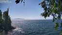 ./images/koeye/fitz-hugh/20260716/fitz-hugh20260716_145501M.jpg