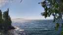 ./images/koeye/fitz-hugh/20260716/fitz-hugh20260716_150501M.jpg