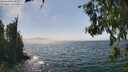 ./images/koeye/fitz-hugh/20260716/fitz-hugh20260716_151501M.jpg
