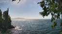 ./images/koeye/fitz-hugh/20260716/fitz-hugh20260716_152001M.jpg