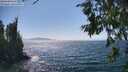 ./images/koeye/fitz-hugh/20260716/fitz-hugh20260716_152501M.jpg