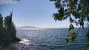 ./images/koeye/fitz-hugh/20260716/fitz-hugh20260716_153002M.jpg