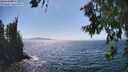 ./images/koeye/fitz-hugh/20260716/fitz-hugh20260716_153501M.jpg