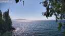 ./images/koeye/fitz-hugh/20260716/fitz-hugh20260716_154001M.jpg