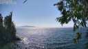 ./images/koeye/fitz-hugh/20260716/fitz-hugh20260716_155002M.jpg