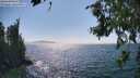 ./images/koeye/fitz-hugh/20260716/fitz-hugh20260716_155501M.jpg