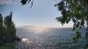 ./images/koeye/fitz-hugh/20260716/fitz-hugh20260716_160501M.jpg