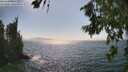 ./images/koeye/fitz-hugh/20260716/fitz-hugh20260716_161501M.jpg