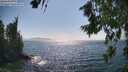 ./images/koeye/fitz-hugh/20260716/fitz-hugh20260716_162501M.jpg