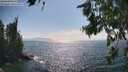 ./images/koeye/fitz-hugh/20260716/fitz-hugh20260716_163502M.jpg
