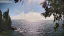 ./images/koeye/fitz-hugh/20260716/fitz-hugh20260716_164501M.jpg