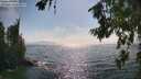./images/koeye/fitz-hugh/20260716/fitz-hugh20260716_165001M.jpg