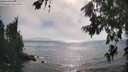 ./images/koeye/fitz-hugh/20260716/fitz-hugh20260716_171501M.jpg
