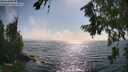 ./images/koeye/fitz-hugh/20260716/fitz-hugh20260716_172001M.jpg