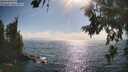 ./images/koeye/fitz-hugh/20260716/fitz-hugh20260716_172501M.jpg