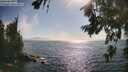 ./images/koeye/fitz-hugh/20260716/fitz-hugh20260716_173002M.jpg
