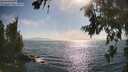 ./images/koeye/fitz-hugh/20260716/fitz-hugh20260716_173501M.jpg