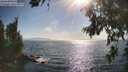 ./images/koeye/fitz-hugh/20260716/fitz-hugh20260716_174001M.jpg
