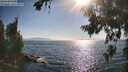 ./images/koeye/fitz-hugh/20260716/fitz-hugh20260716_175001M.jpg