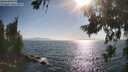 ./images/koeye/fitz-hugh/20260716/fitz-hugh20260716_175501M.jpg